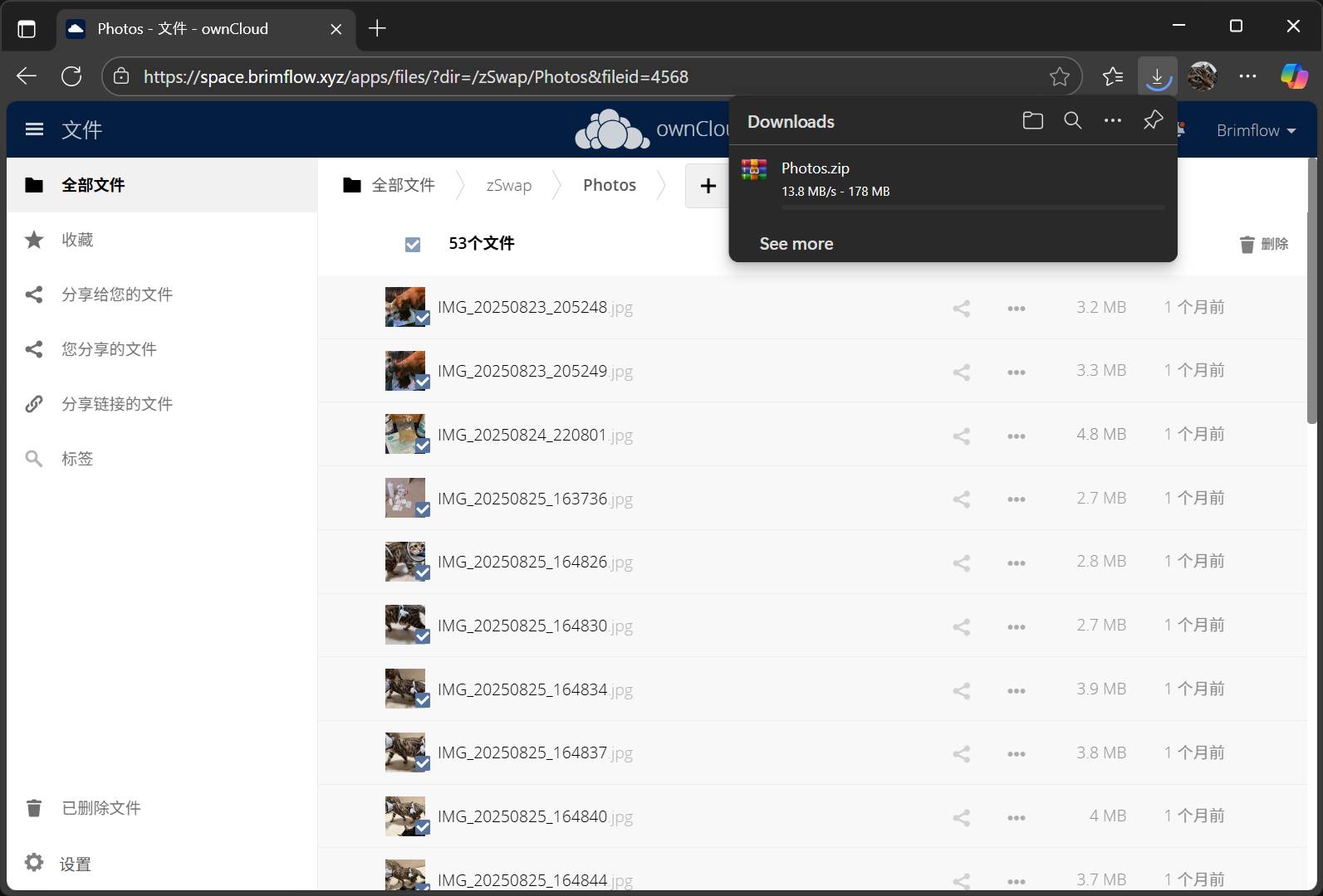 动态 天际尽头 | Brimflow 的个人博客