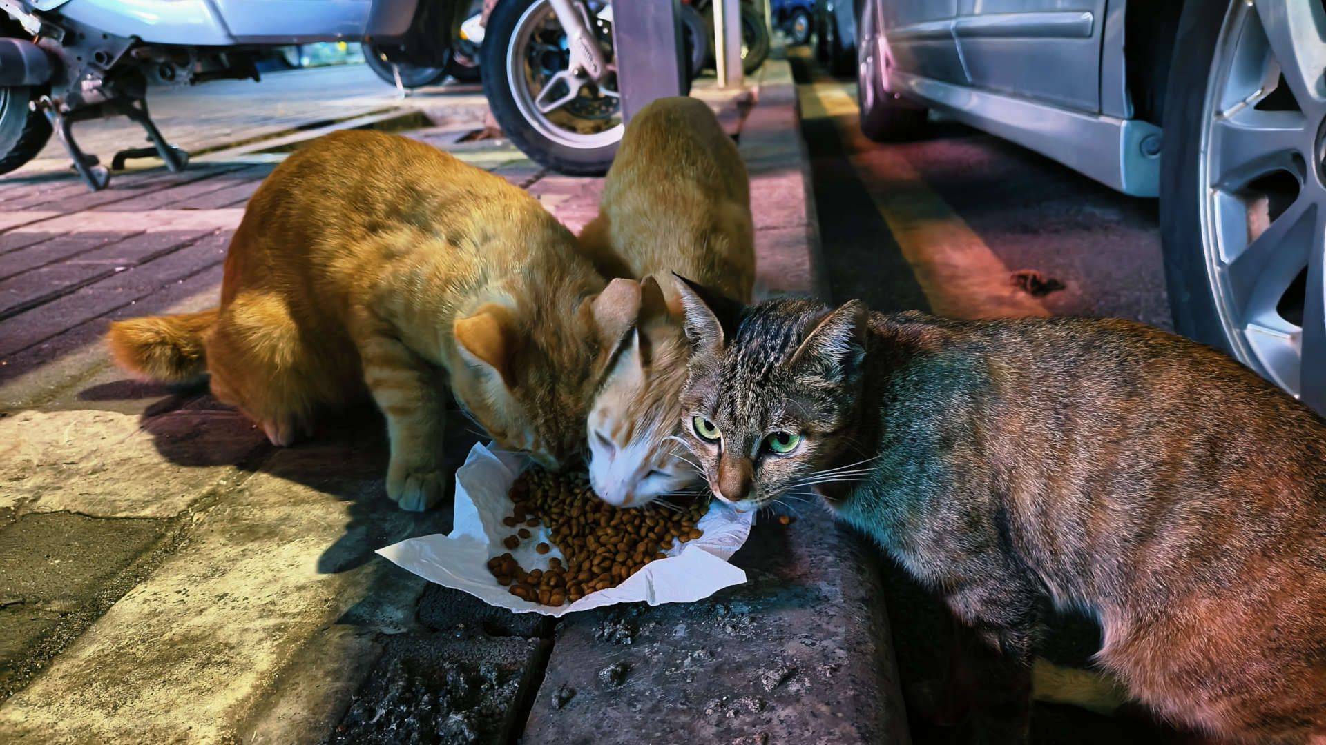 天际尽头 | Brimflow 的个人博客