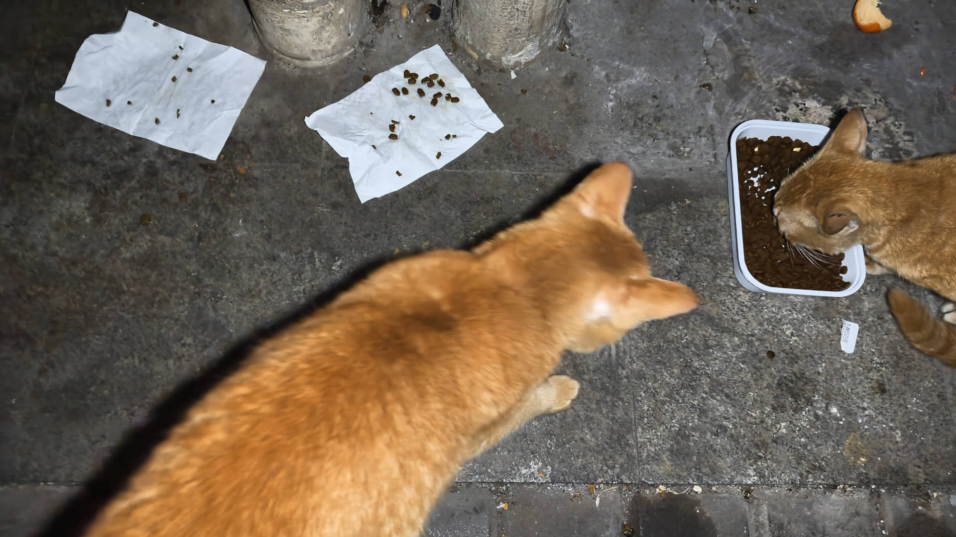 天际尽头 | Brimflow 的个人博客