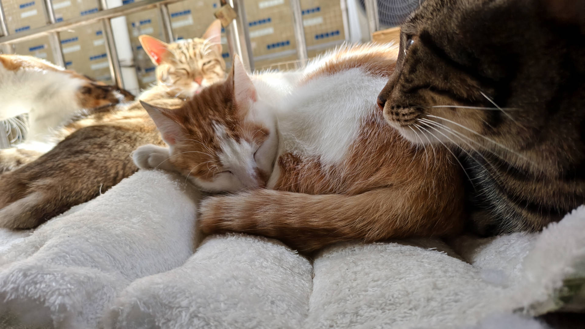 天际尽头 | Brimflow 的个人博客