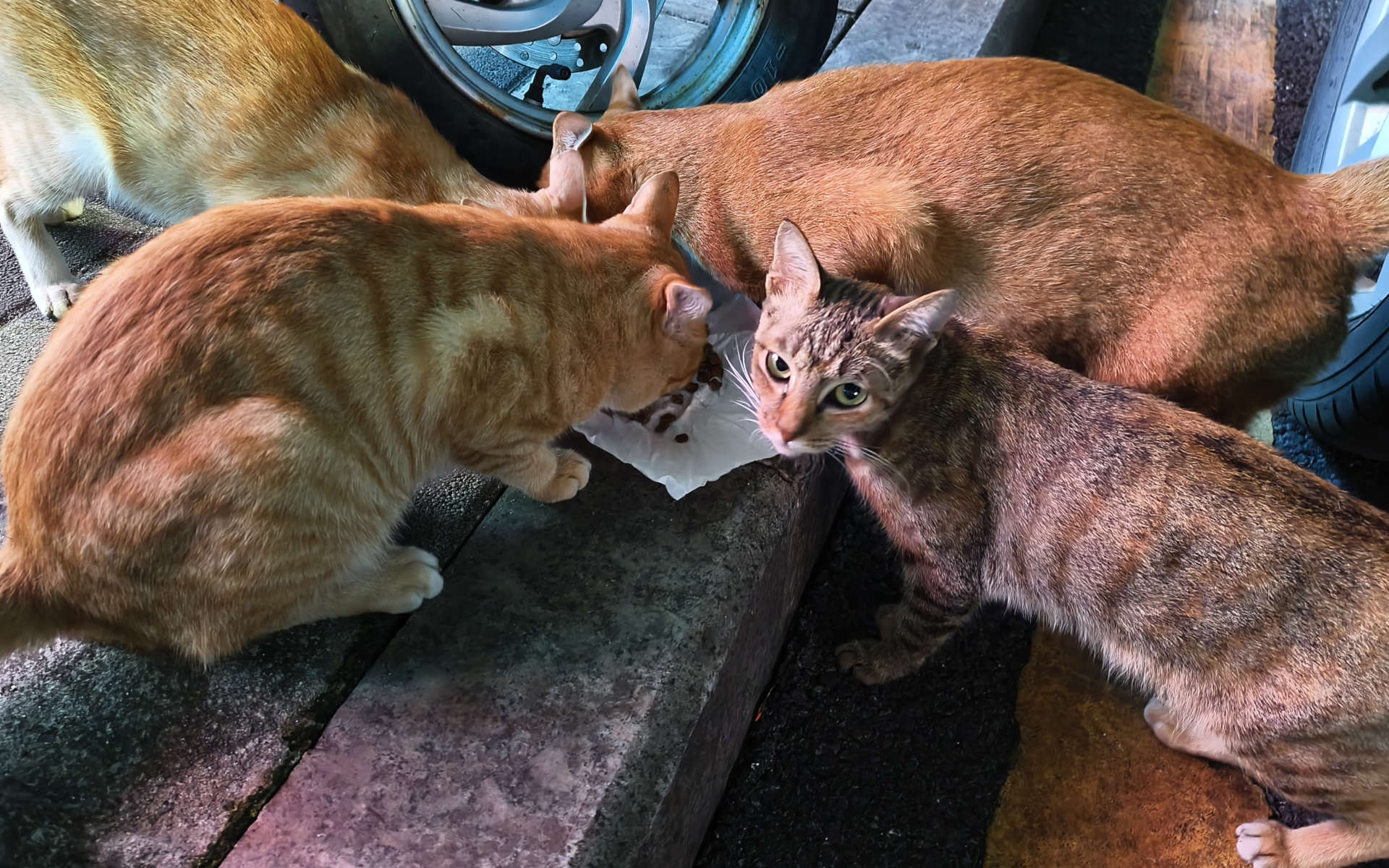 动态 天际尽头 | Brimflow 的个人博客