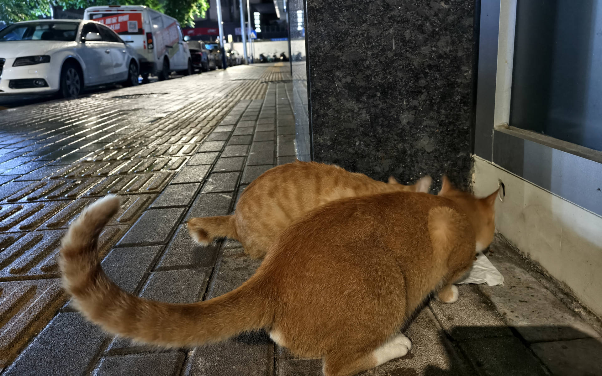 动态 天际尽头 | Brimflow 的个人博客