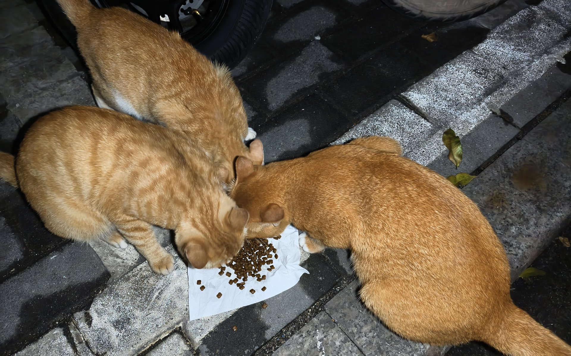 动态 天际尽头 | Brimflow 的个人博客