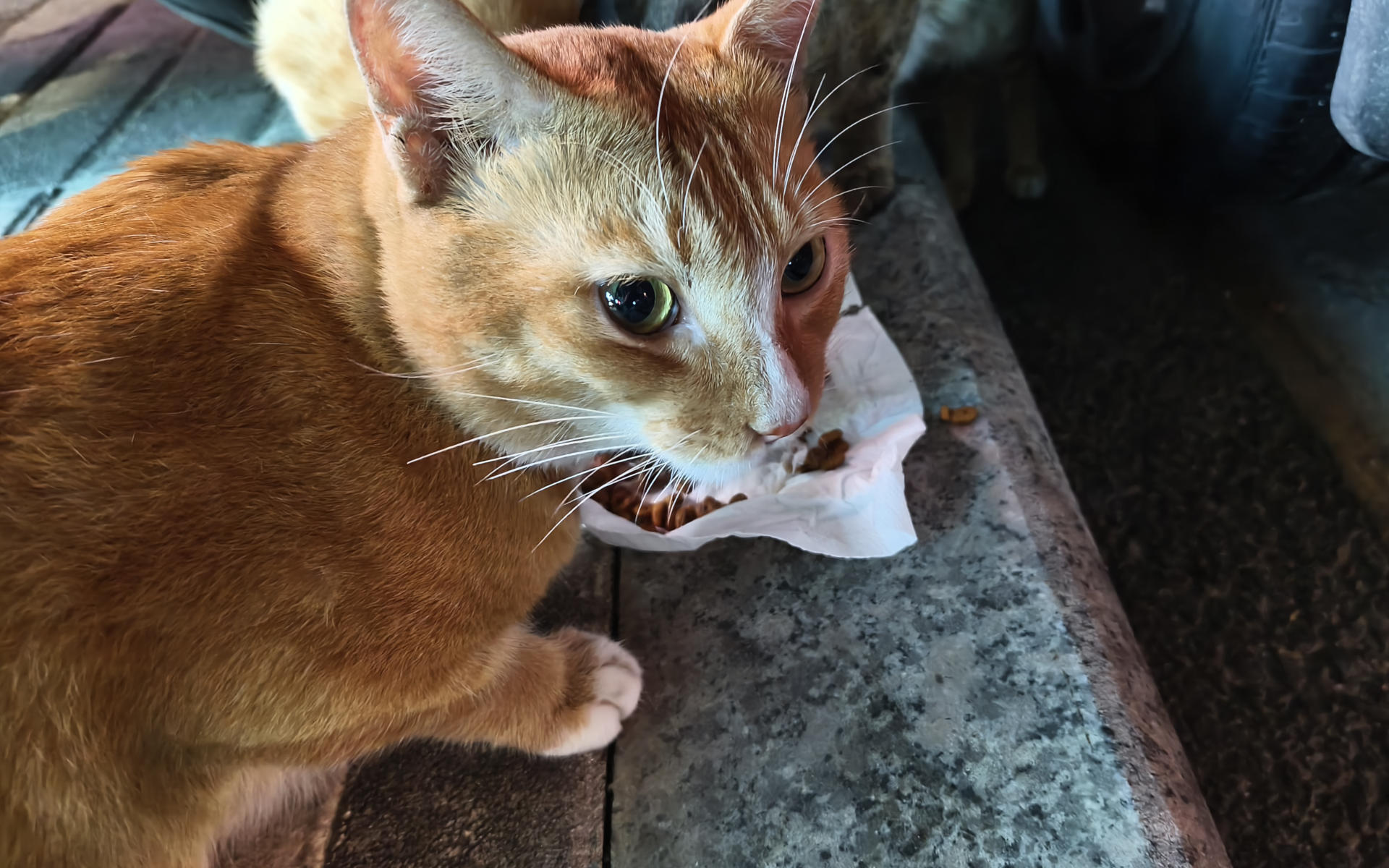 动态 天际尽头 | Brimflow 的个人博客