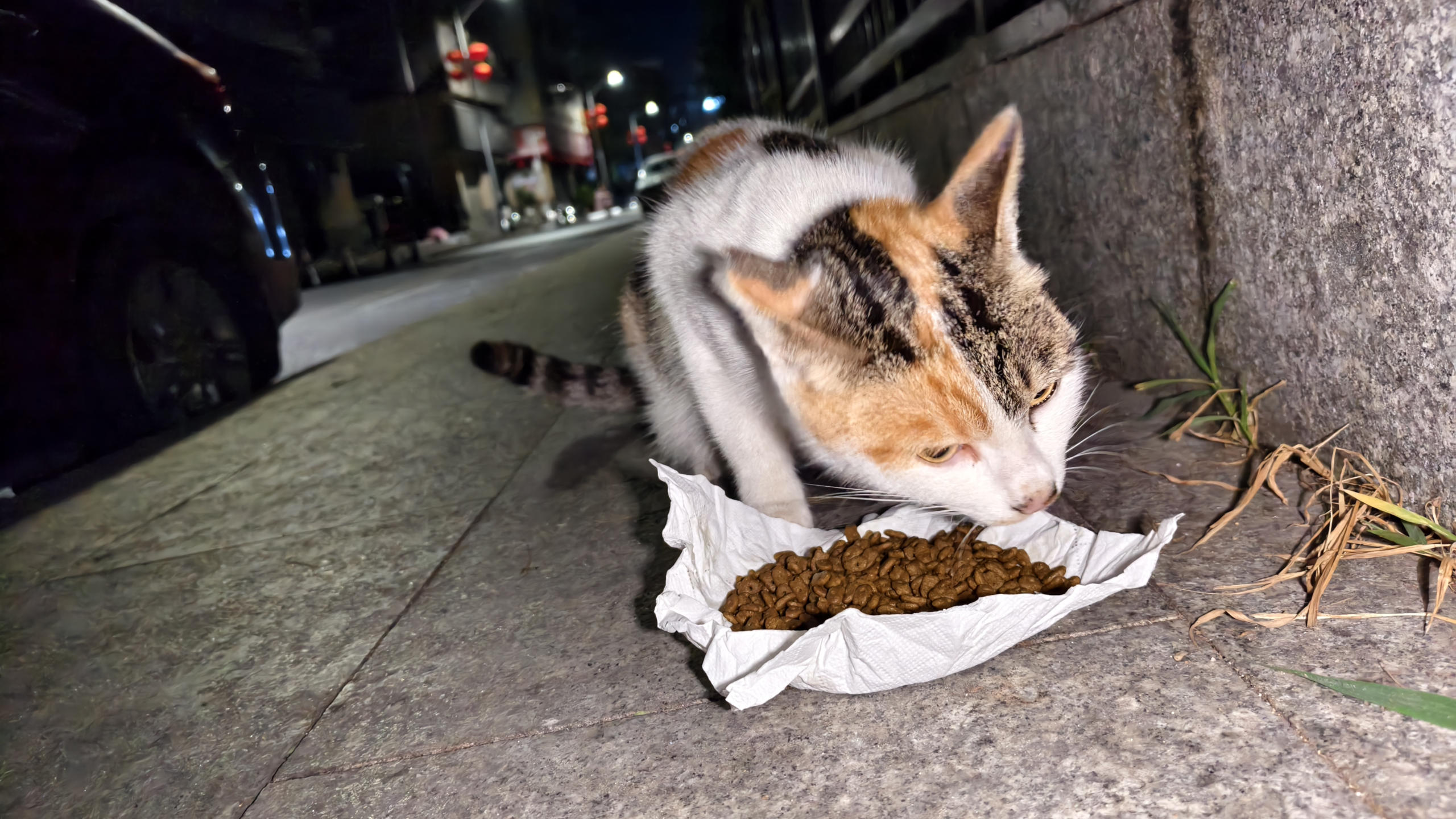 它还记得 天际尽头 | Brimflow 的个人博客