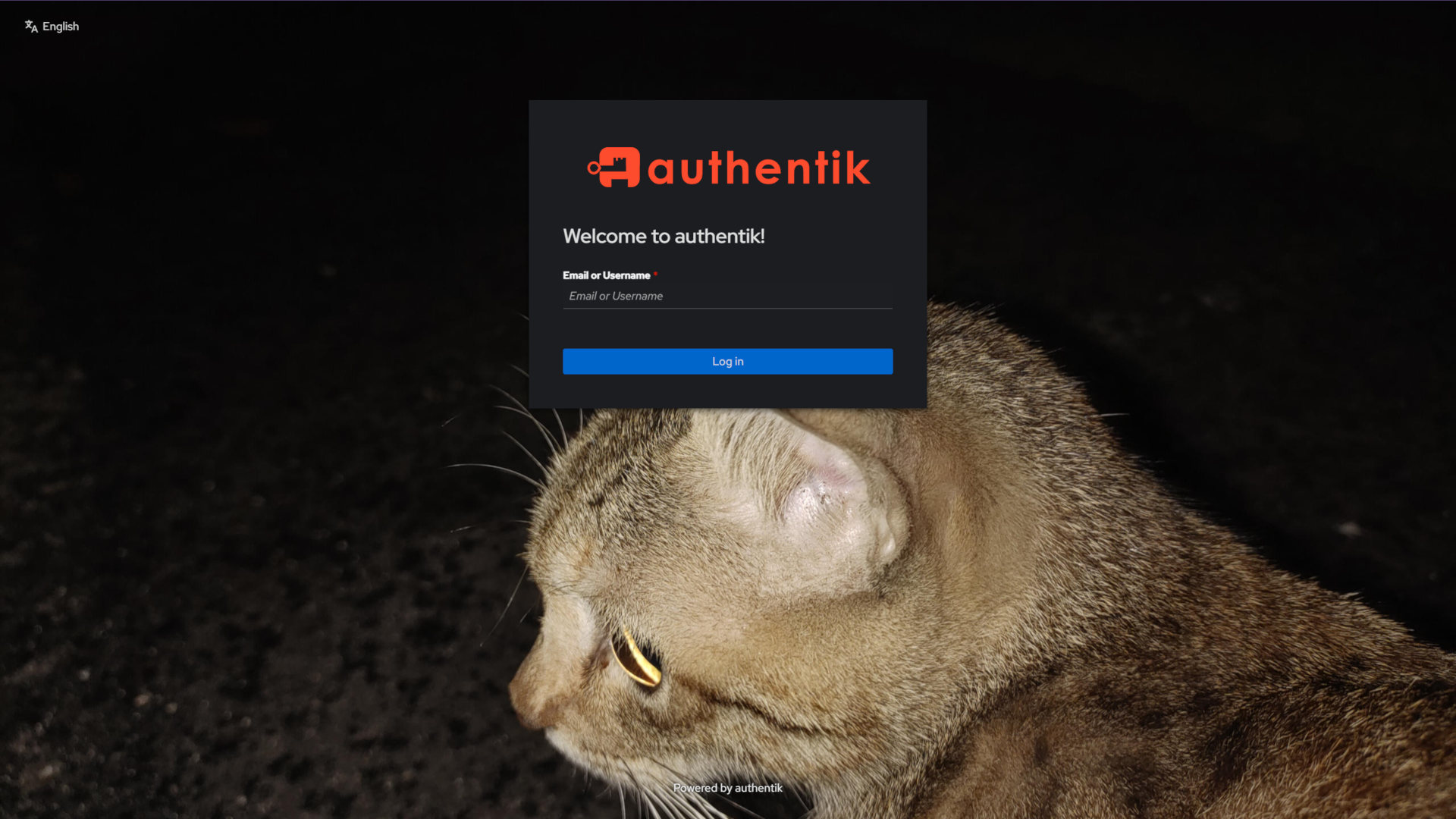 个人数据中心(第一阶段) 个人数据中心建设实录:自托管系统、服务整合与数据掌控