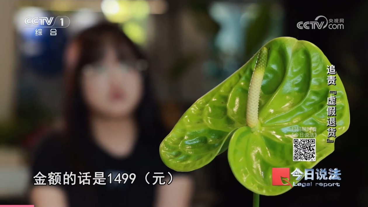 年轻一代的“的话” 天际尽头 | Brimflow 的个人博客